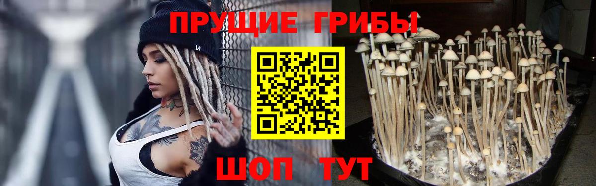 Губкин  Галлюциногенные грибы мицелий  Вход с VPN 